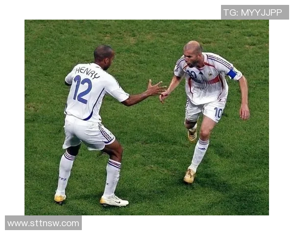 法国足球史上十大球星盘点 从齐达内到亨利的辉煌足迹